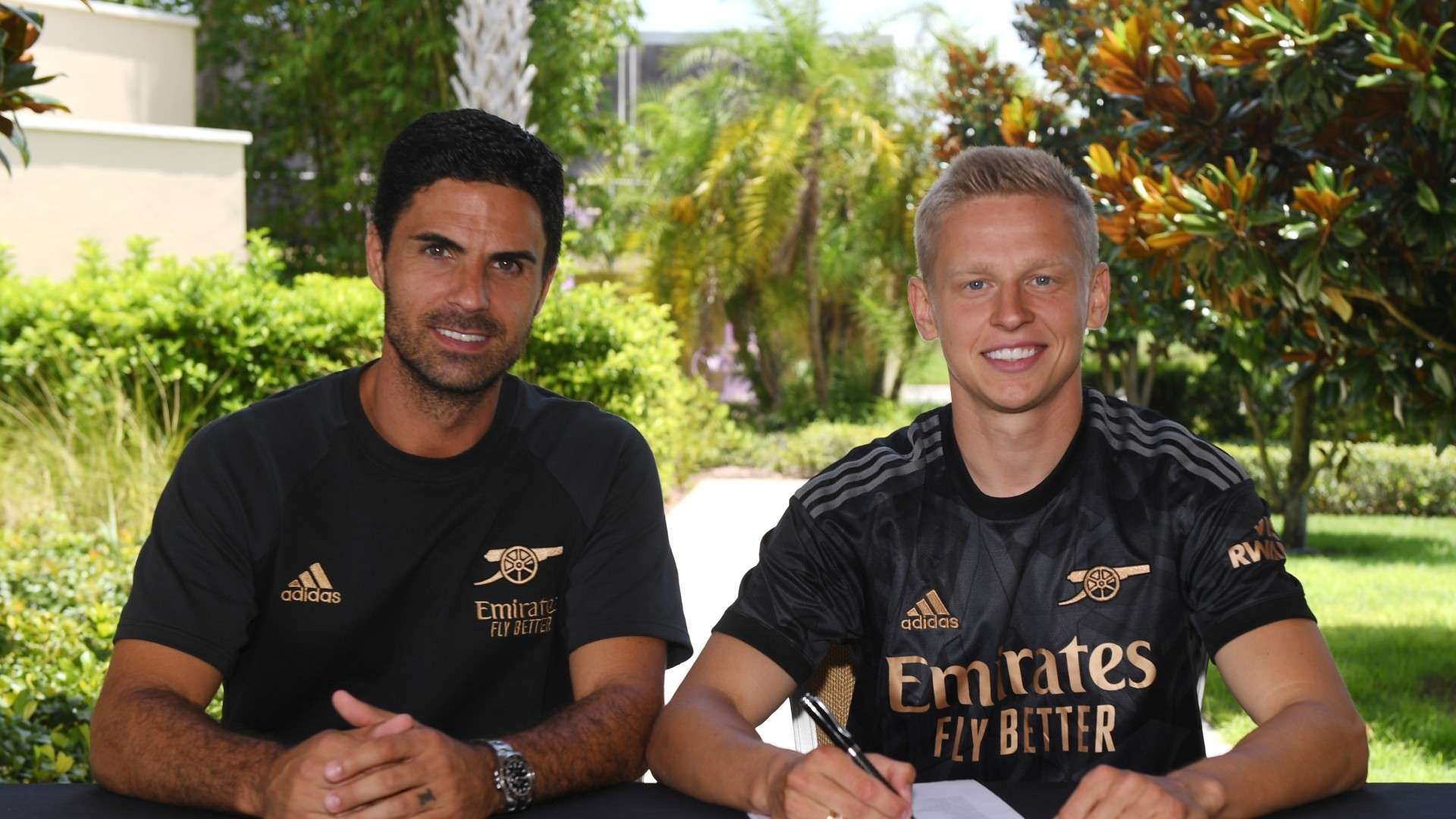 他们却选择 他们却选择