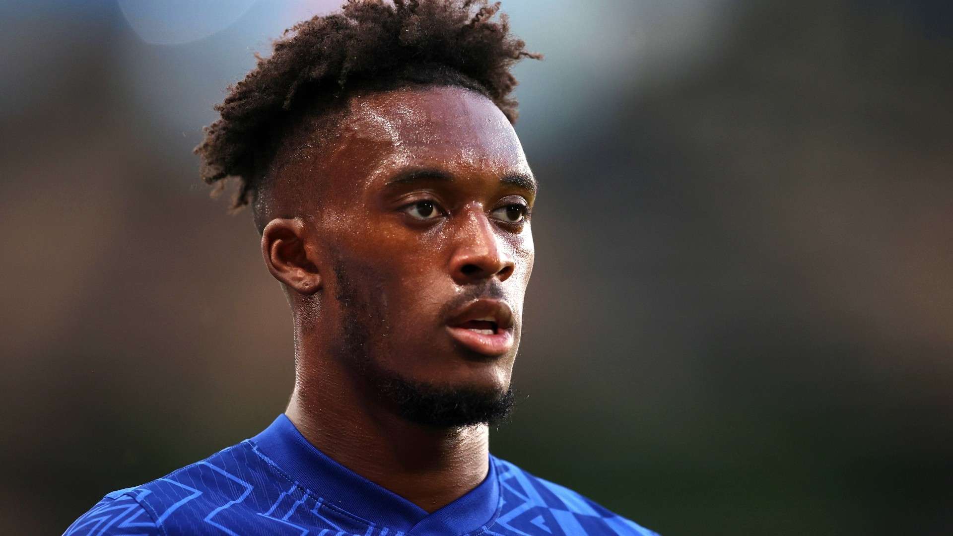 他在面对马 他在面对马